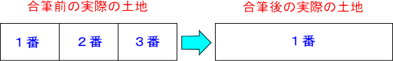 合筆前と合筆後の現地の土地の状況